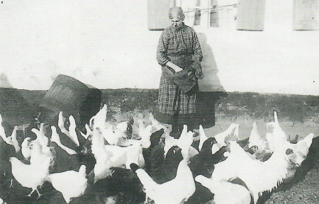 Früher gab es kaum ein Anwesen ohne Hühnerhaltung. Hier füttert die Bäckenbäuerin, Sophia Voag, ihre Hühnerschar mit Körnern aus der Schürze. Das Bild entstand um 1930. Im Hintergrund lehnt ein Krautfaß.
